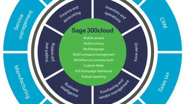 Software company in Dubai, United Arab Emirates